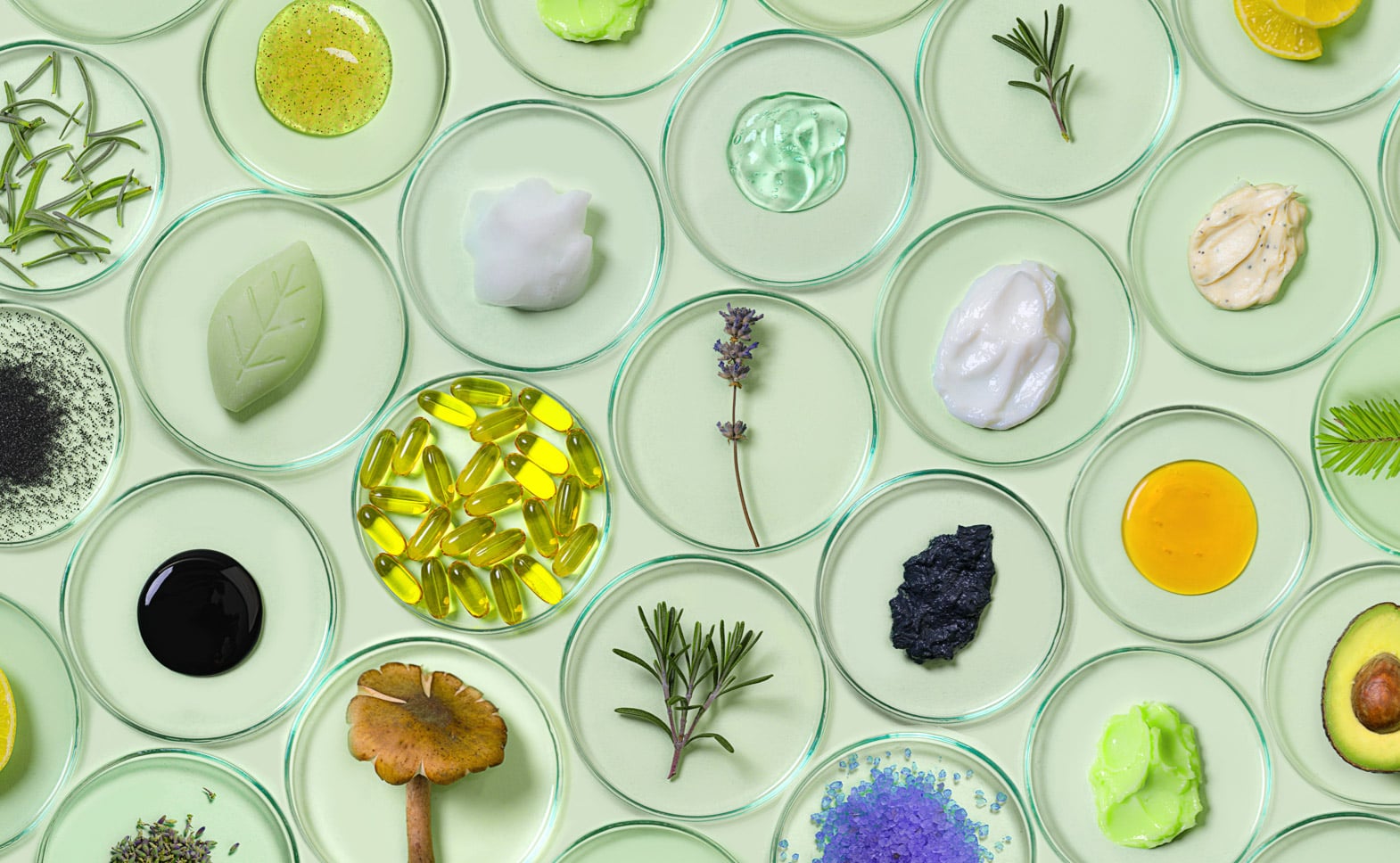 Eco Friendly Products for Cleaning