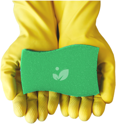 Cleaning gloves holding a green sponge